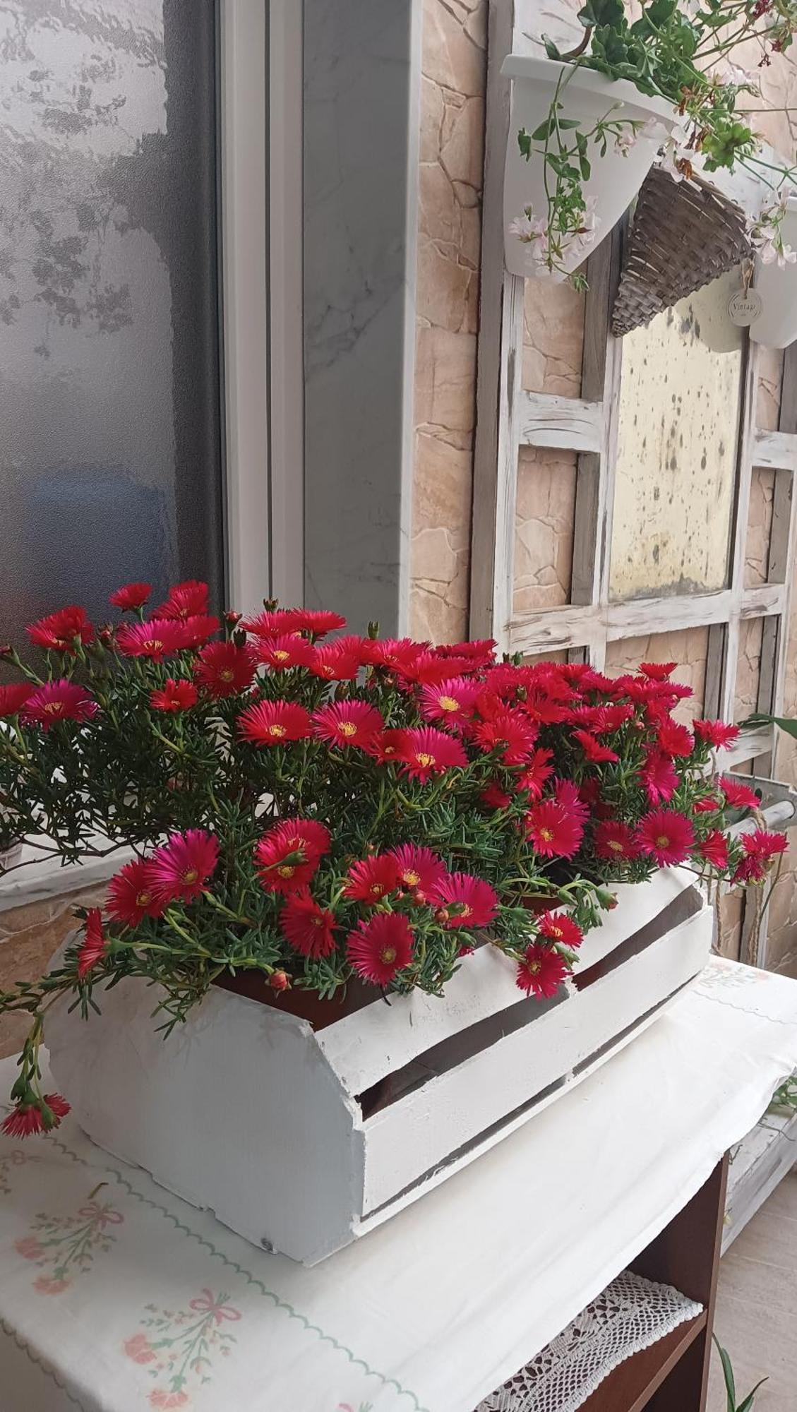 Le 3 Dee Panzió Reggio di Calabria Szoba fotó